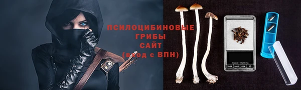 таблы Лагань