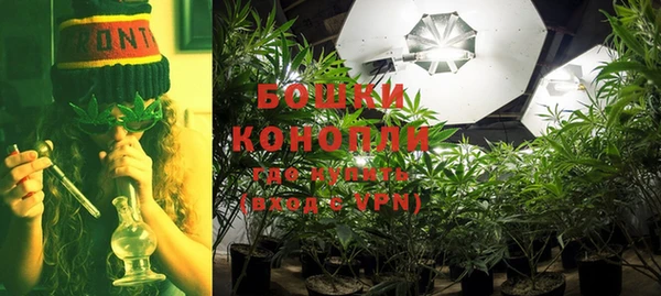 ГАЛЛЮЦИНОГЕННЫЕ ГРИБЫ Братск