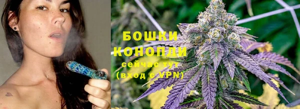 2c-b Ладушкин