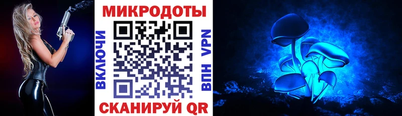 наркота  blacksprut маркетплейс  Галлюциногенные грибы Psilocybe  Сельцо 